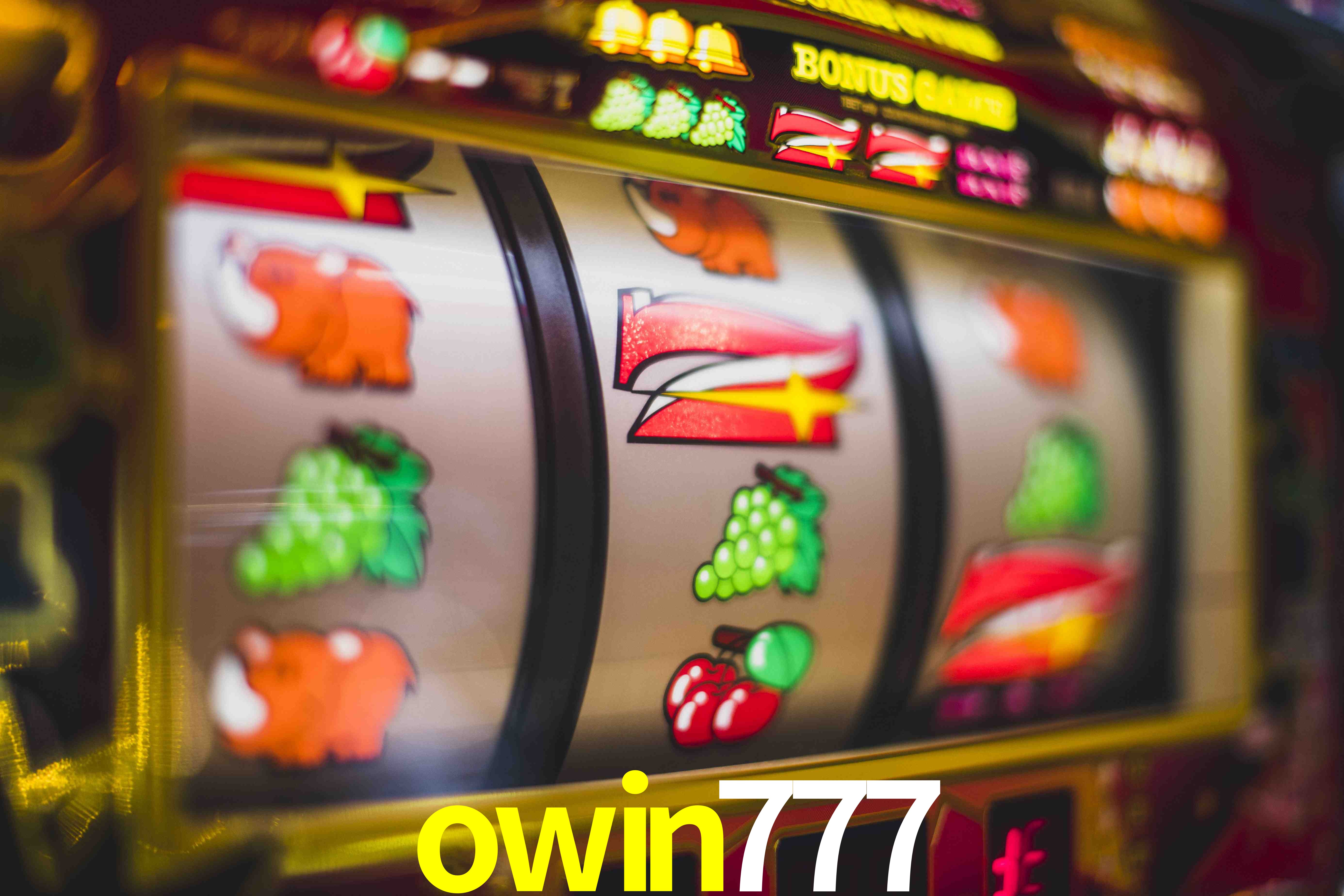 VIP Casino owin777
